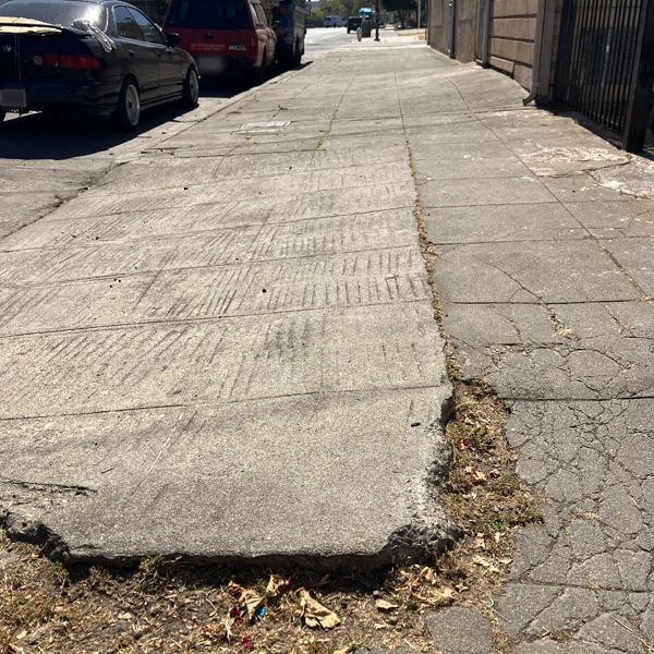 A cement sidewalk is split along nearly it's entire length, with half the surface raised up several inches, creating a tripping hazard. Leaves and debris surround the cracks created by the damage.