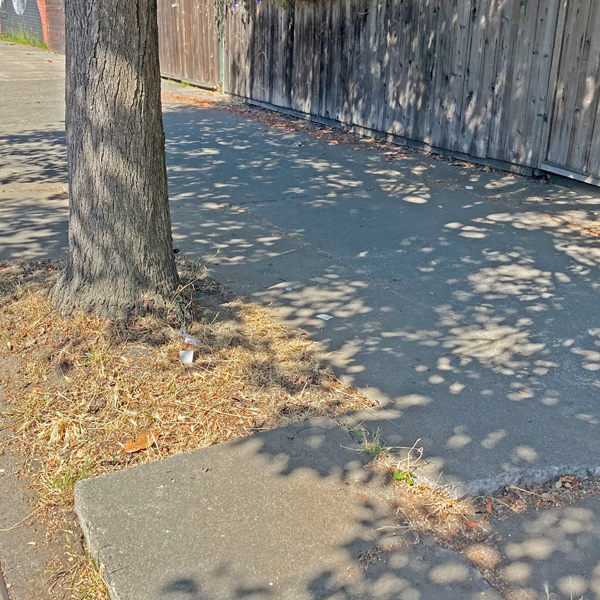 The roots of a tree planted at the curb pushes the cement sidewalk up unevenly around it, as the tree's shadow dapples the jagged pavement.