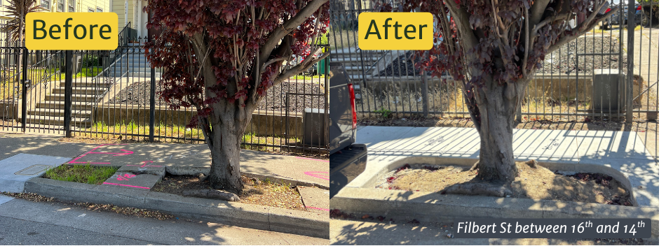 Before and after sidewalk repair on Filbert St between 16th and 14th st. Sidewalk has been smoothed and tree well has been expanded.