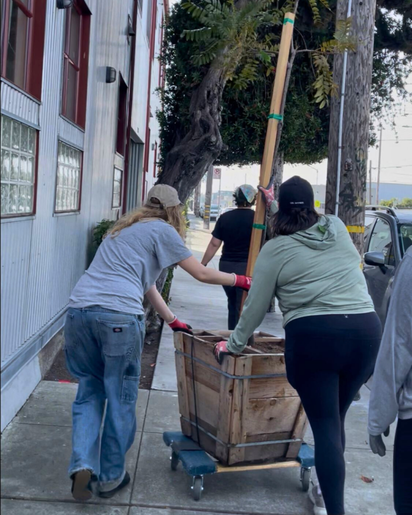 Volunteers plant trees across West Oakland